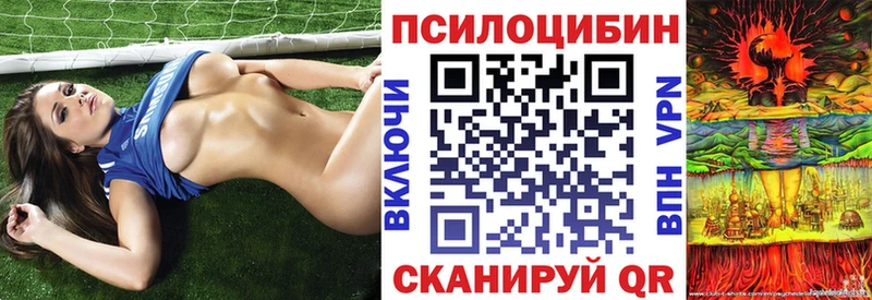 Галлюциногенные грибы MAGIC MUSHROOMS  наркота  Красный Сулин 
